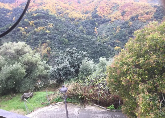 Jubrique